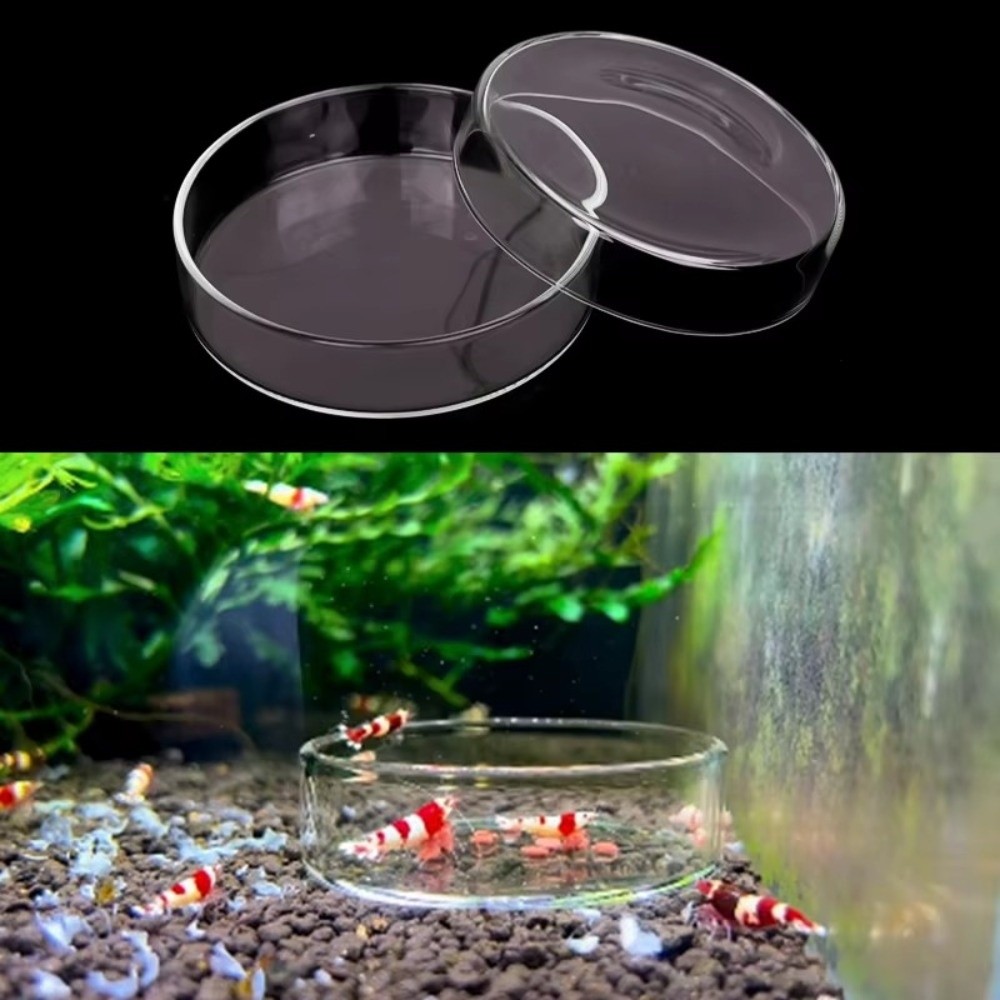 Baby Food Shrimp - Bol d'alimentation en verre pour Aquarium,