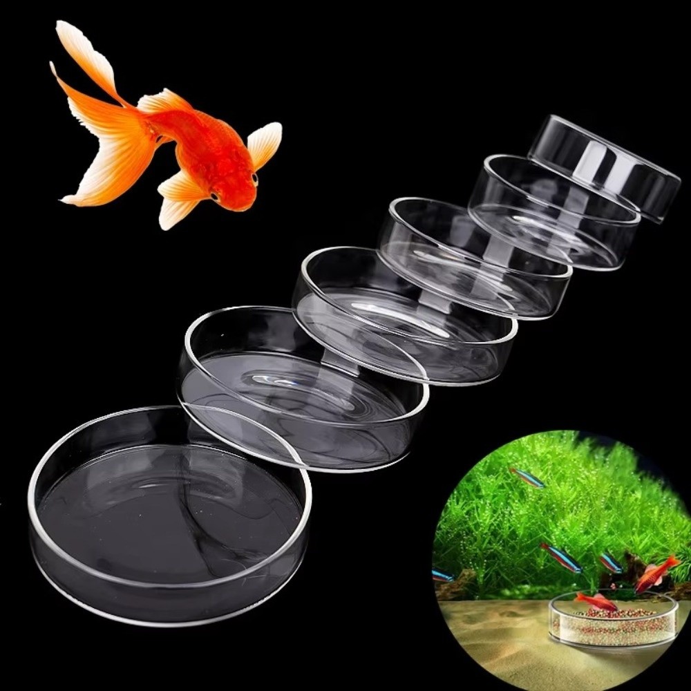 Bol d'alimentation en verre po - Baby Food Shrimp avis et prix
