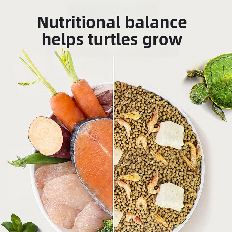 GEN CLIMB Baby Turtle Starter  - Baby Food Shrimp avis et prix