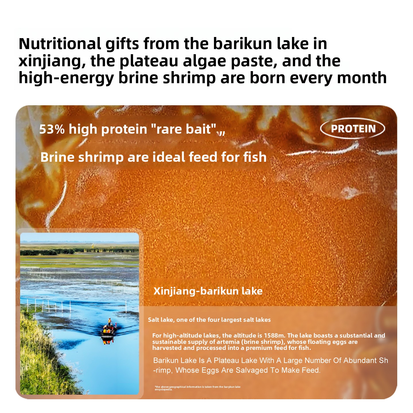 SANKii Arthémie de crevettes e - Baby Food Shrimp avis et prix
