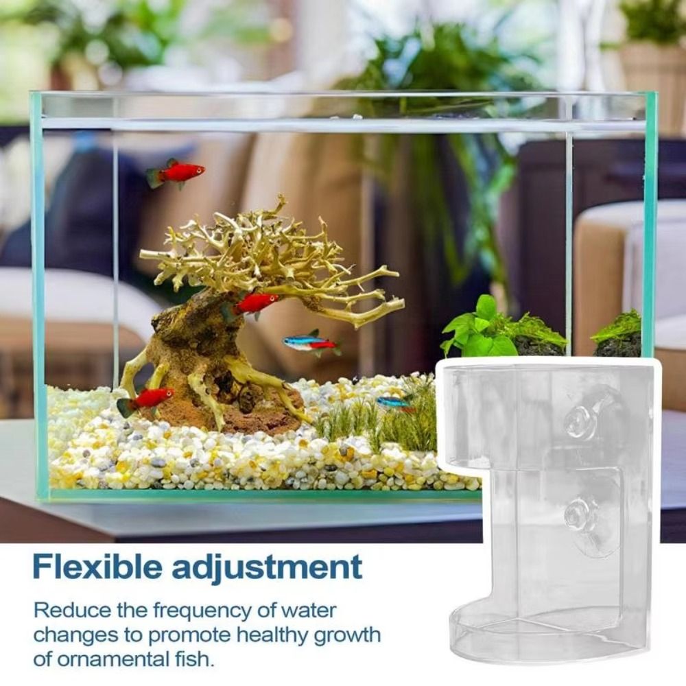 Mangeoires d'aquarium en acryl - Baby Food Shrimp avis et prix