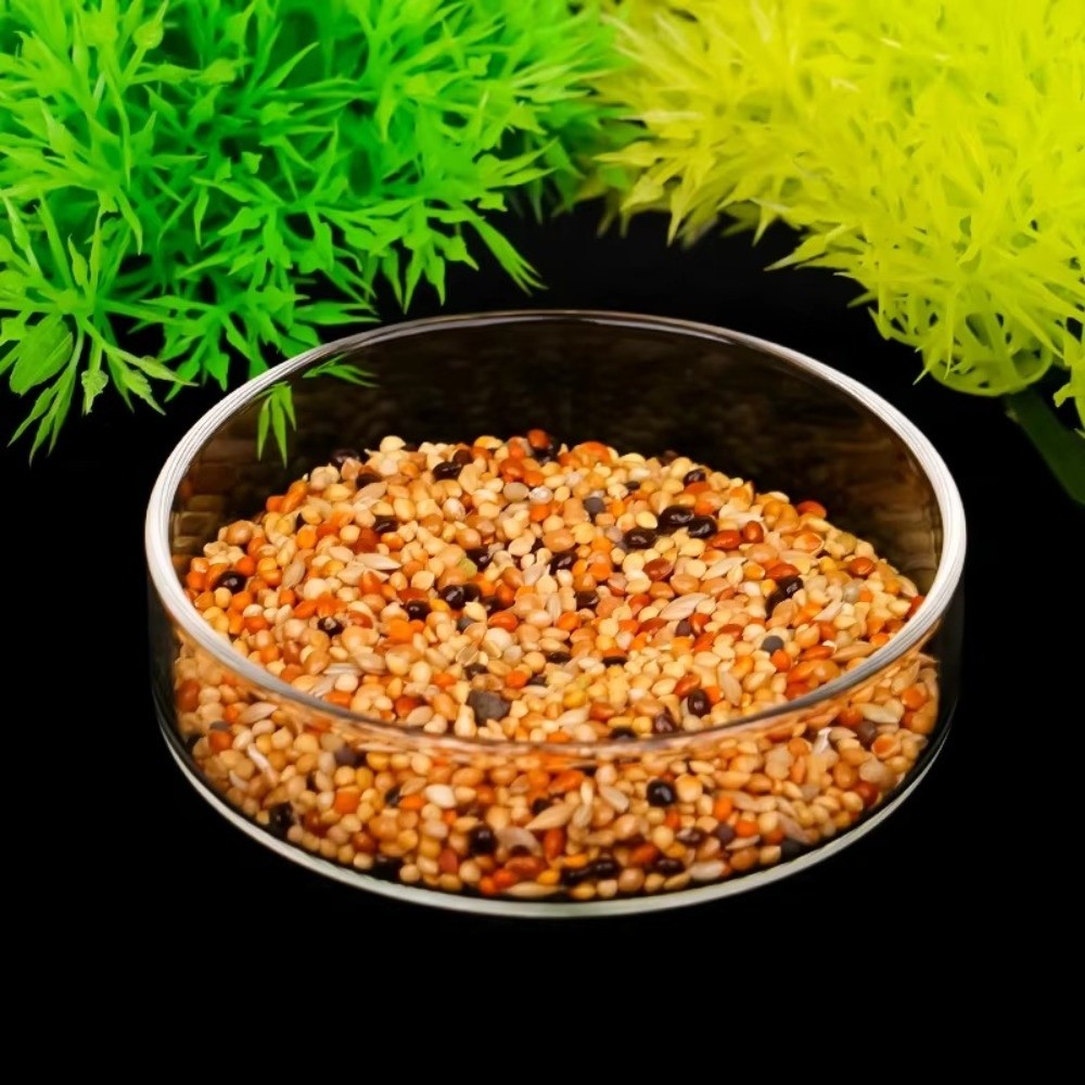 Bol d'alimentation pour aquari - Baby Food Shrimp avis et prix