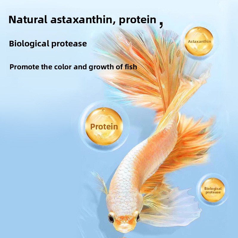 Yee – nourriture instantanée p - Baby Food Shrimp avis et prix