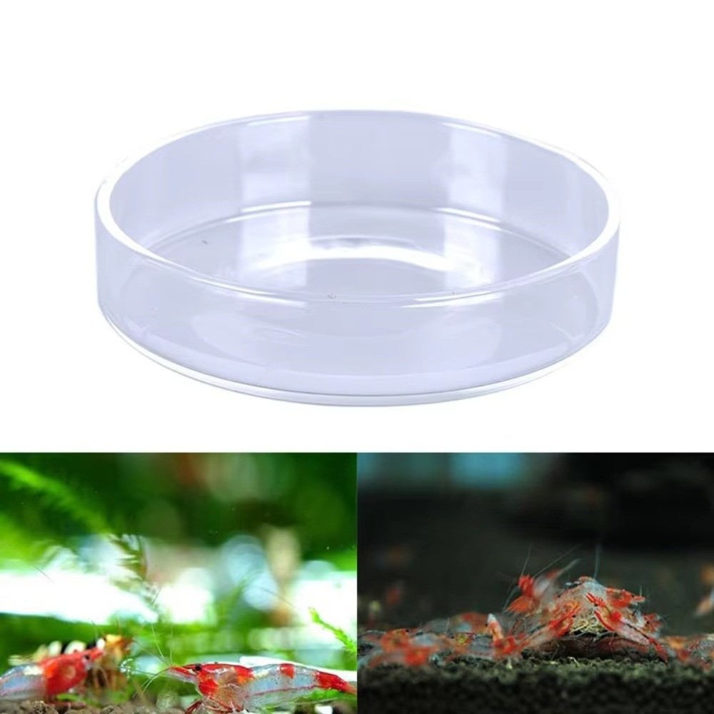 Bol d'alimentation en verre po - Baby Food Shrimp avis et prix